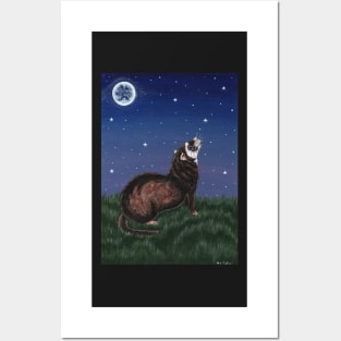 Ferret Stargazing Posters and Art